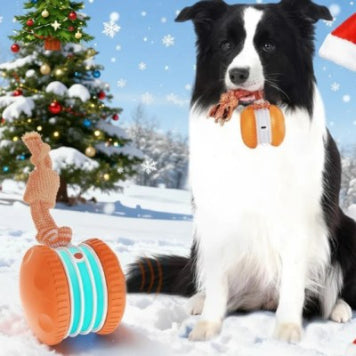 Pet Ball For Dogs Interactive Toys Motion Activate Rolling Ball For Puppy Small Dogs Automatic Moving Toy USB Rechargeable Toy Pet Products