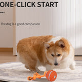 Pet Ball For Dogs Interactive Toys Motion Activate Rolling Ball For Puppy Small Dogs Automatic Moving Toy USB Rechargeable Toy Pet Products